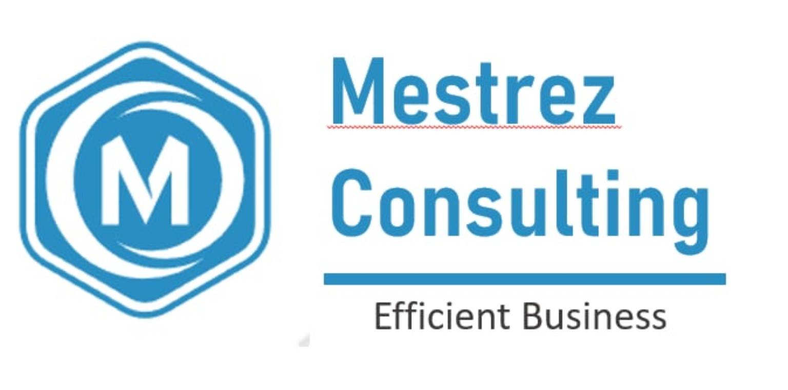 Mestrez Consulting - Efficient Business